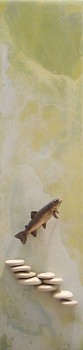 Sandy Keller -&nbsp;Roaring Fork
