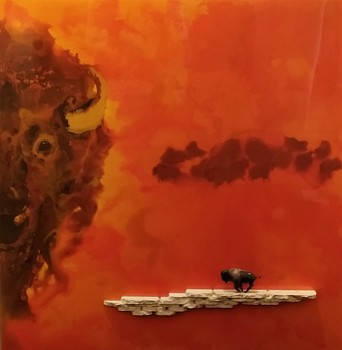 Sandy Keller -&nbsp;Cibolo