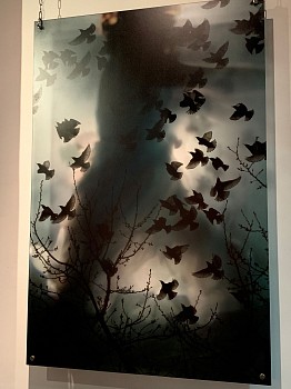 Andrea Bonfils -&nbsp;Fly Float I