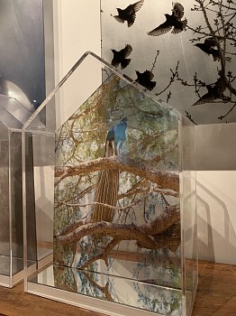 Andrea Bonfils -&nbsp;Home Peacock Perch