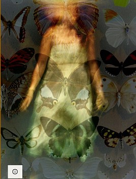 Andrea Bonfils -&nbsp;Metamorposis