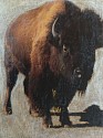 Andrea Bonfils, Taos Buffalo 1/1
Encaustic, Oil, Photograph, Resin
