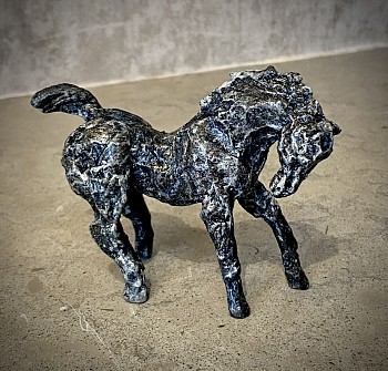 Siri Hollander -&nbsp;Sevillana