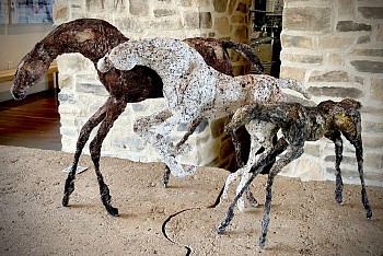 Siri Hollander -&nbsp;A Correr