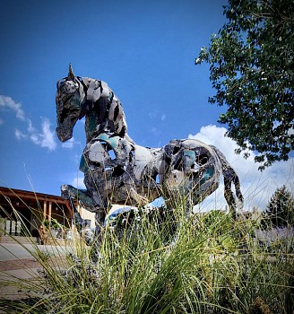 Siri Hollander -&nbsp;Flamenco (original)