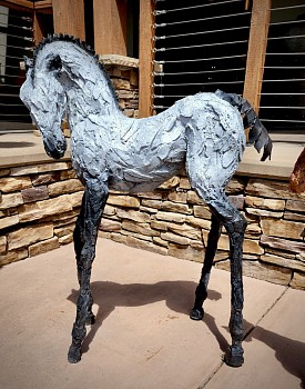 Siri Hollander -&nbsp;Cinco 17/50