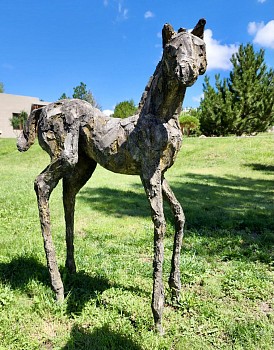 Siri Hollander -&nbsp;Seis