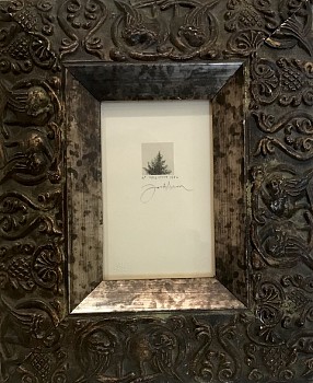 Frank Howell -&nbsp;Tree Study