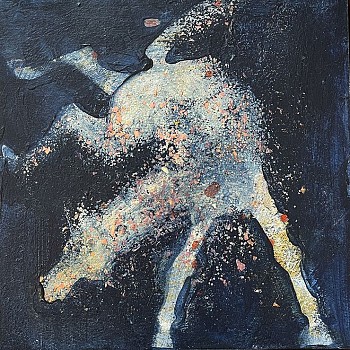 Suzan Obermeyer -&nbsp;Star Spangled