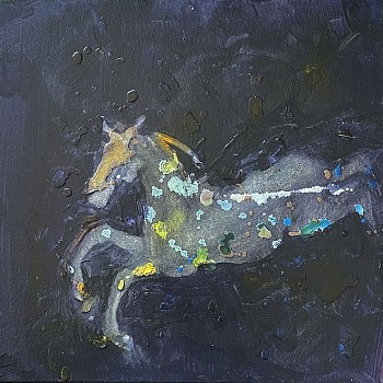 Suzan Obermeyer -&nbsp;Night Flight