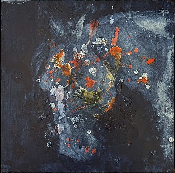 Suzan Obermeyer -&nbsp;Night Guide