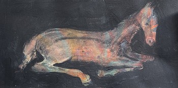 Suzan Obermeyer -&nbsp;Night Foal