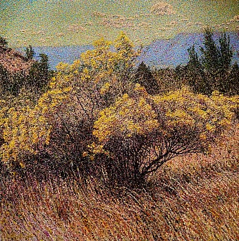 David Perez Escudero -&nbsp;Villanueva Chamisa